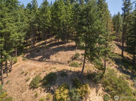 25601 Camp 12 Road Leavenworth WA 98826