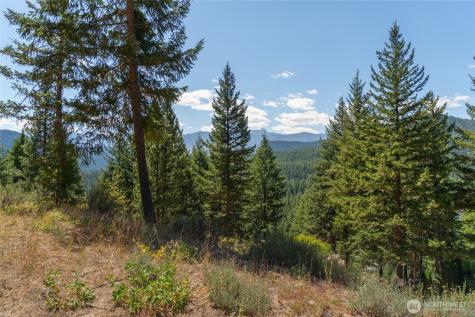 25601 Camp 12 Road Leavenworth WA 98826