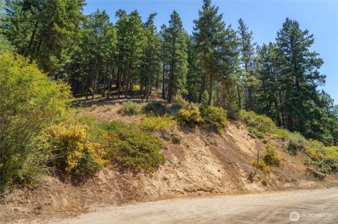 25601 Camp 12 Road Leavenworth WA 98826