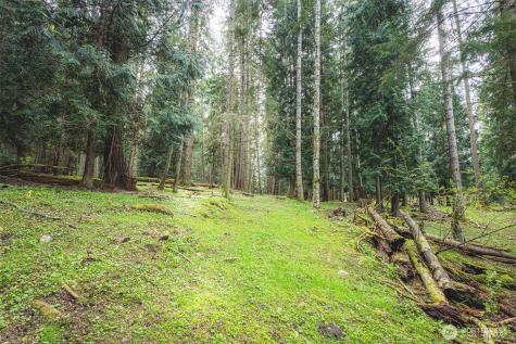 280 Oxenford Road Port Angeles WA 98363