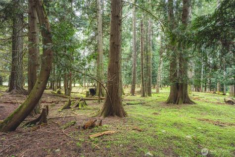 280 Oxenford Road Port Angeles WA 98363