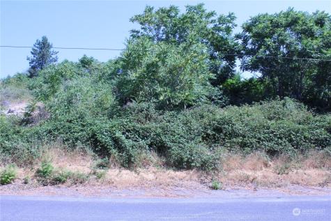 0 Olive Avenue Manson WA 98831