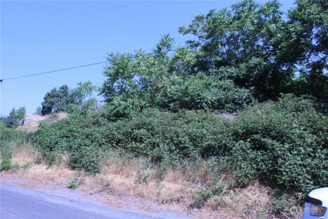 0 Olive Avenue Manson WA 98831