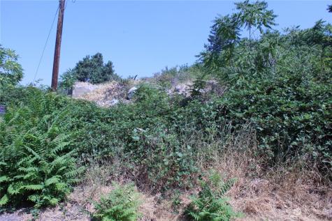 0 Olive Avenue Manson WA 98831