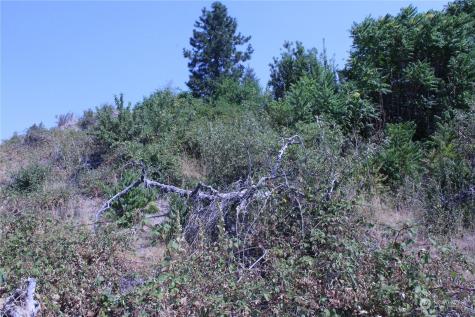 0 Olive Avenue Manson WA 98831