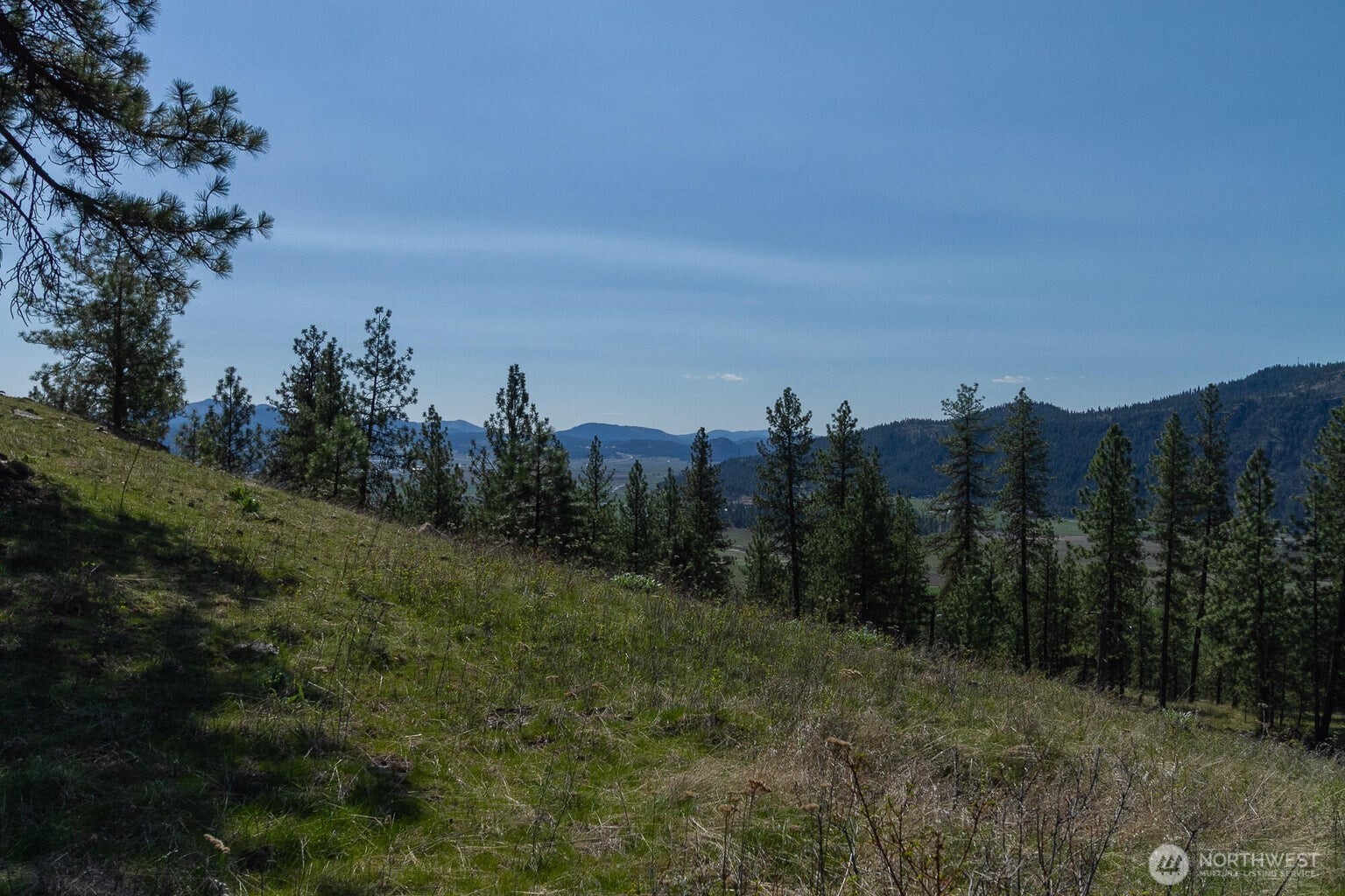 1622 Palmer Loop Chewelah WA 99109