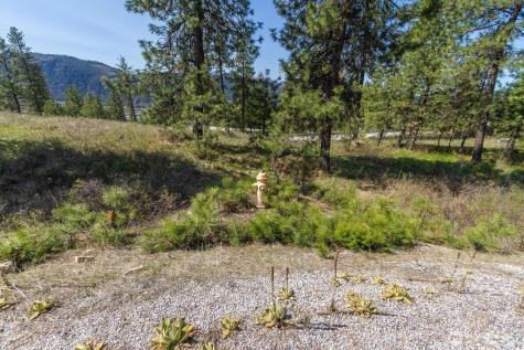 1622 Palmer Loop Chewelah WA 99109