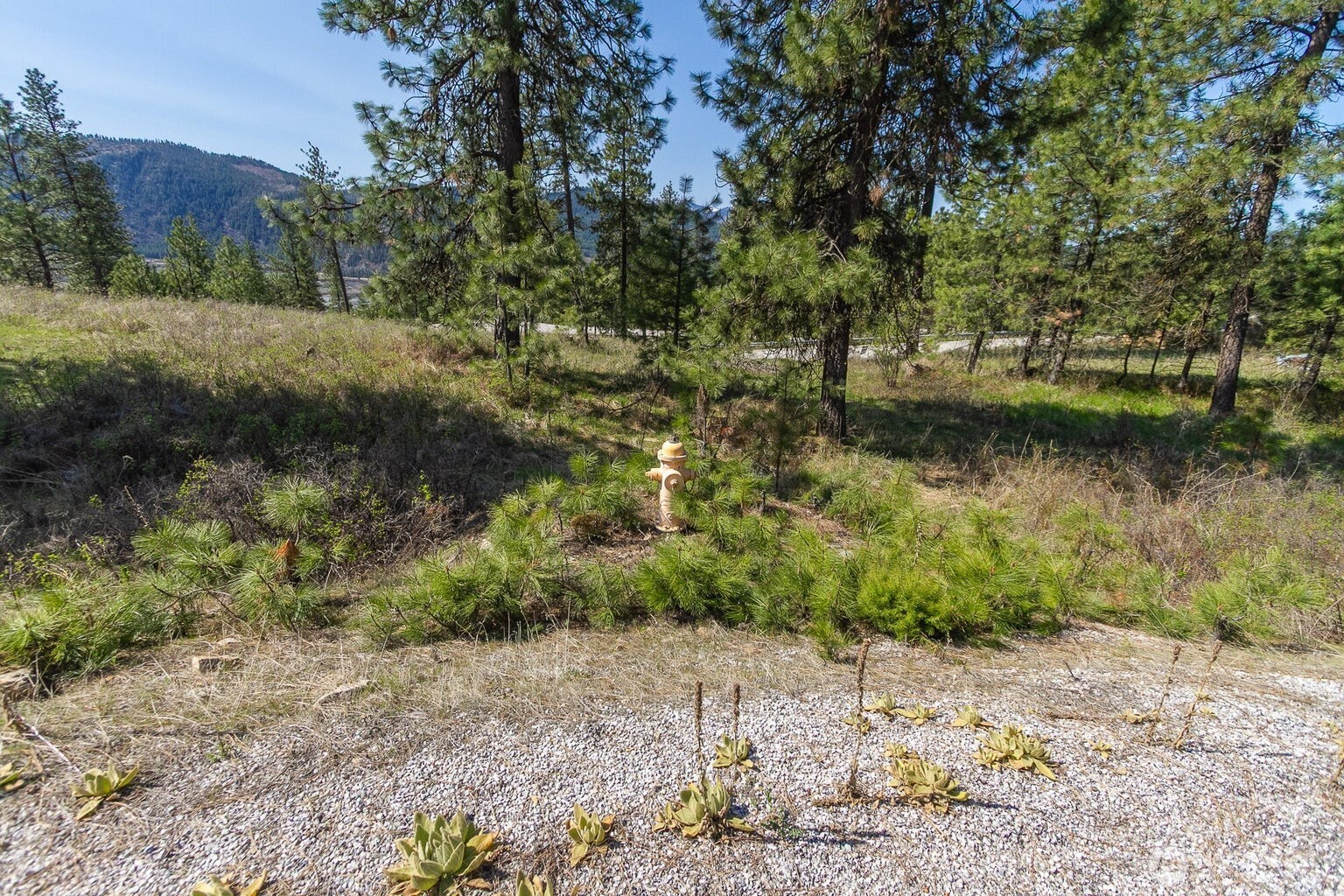 1622 Palmer Loop Chewelah WA 99109