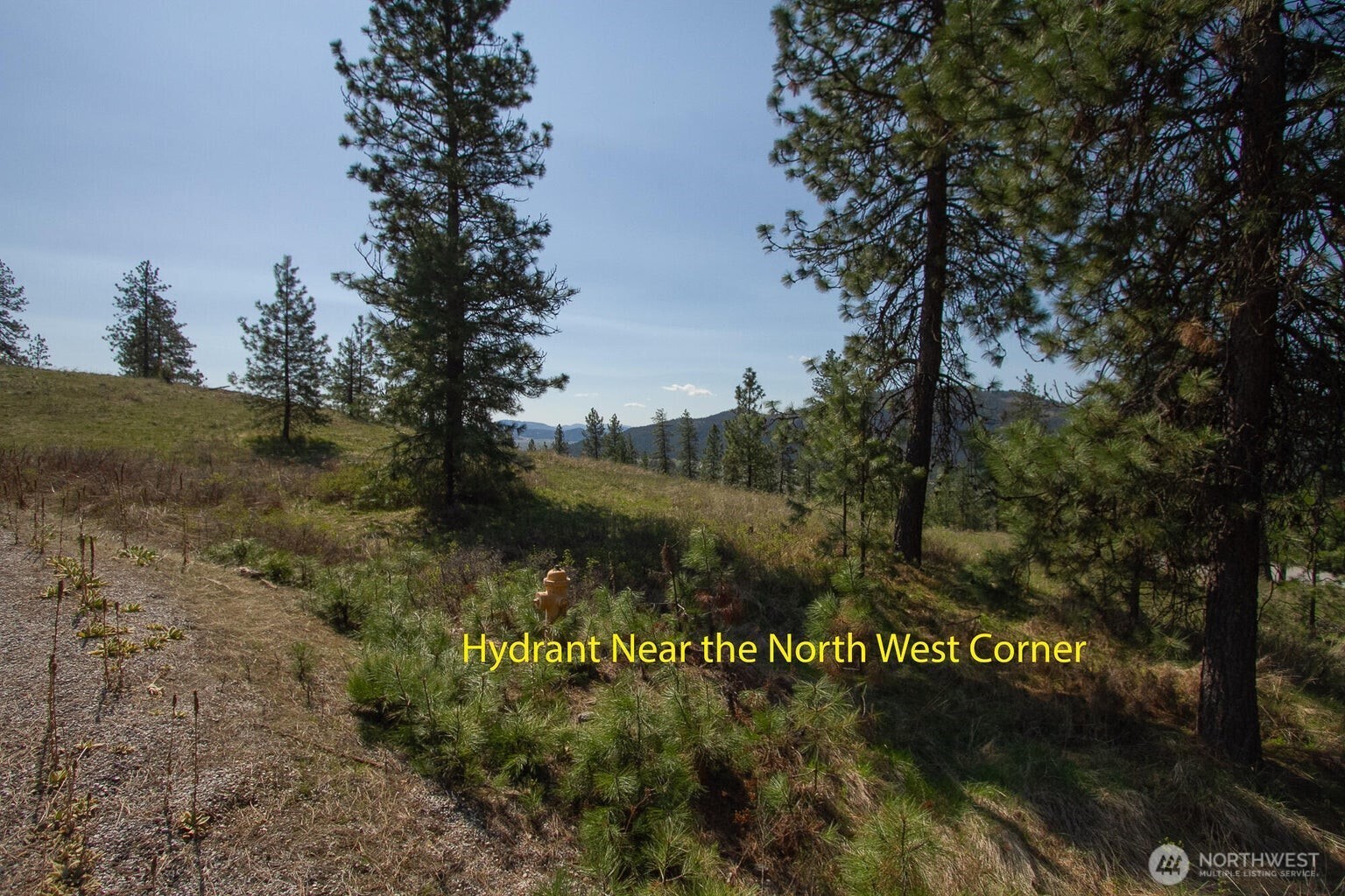 1622 Palmer Loop Chewelah WA 99109