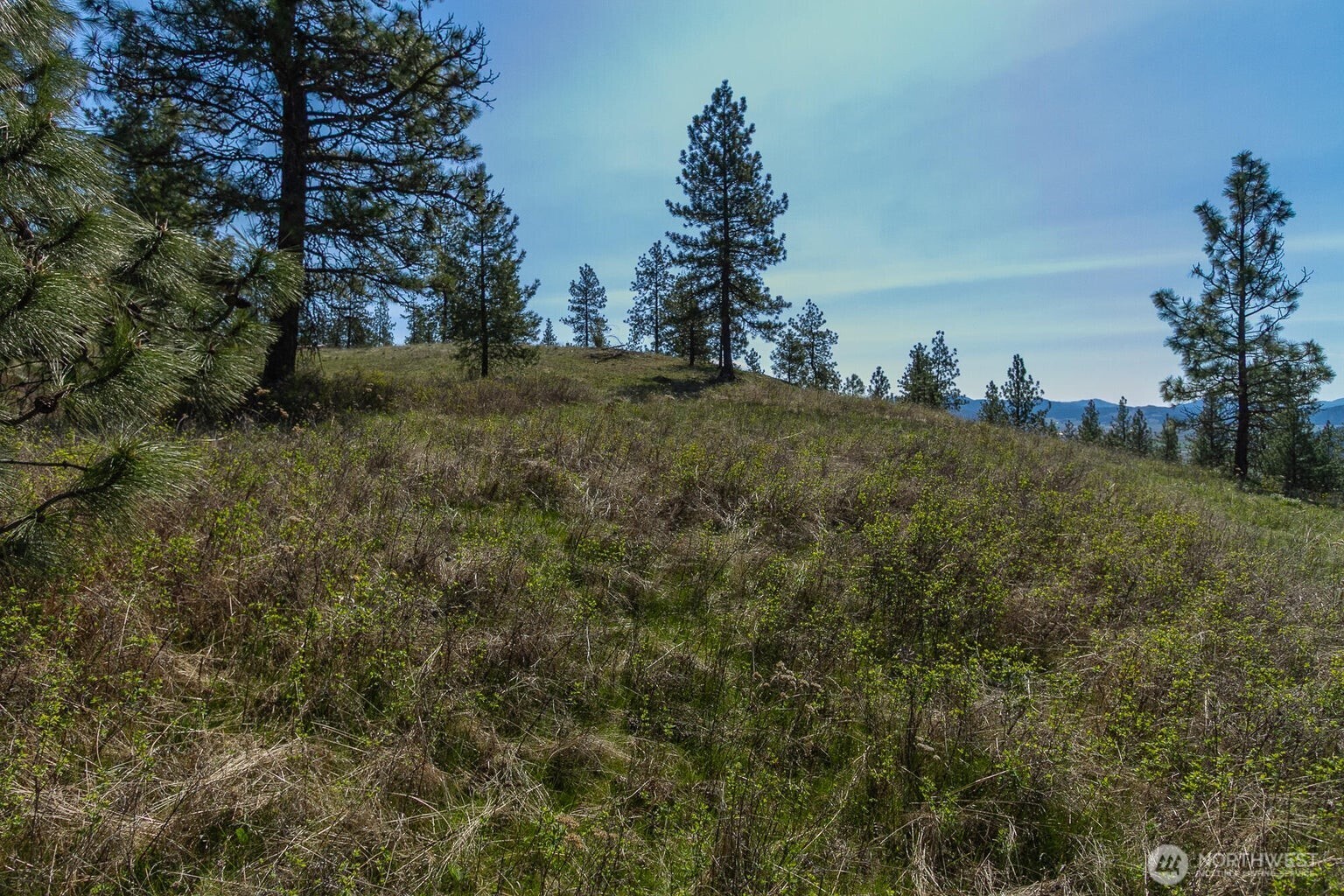 1622 Palmer Loop Chewelah WA 99109