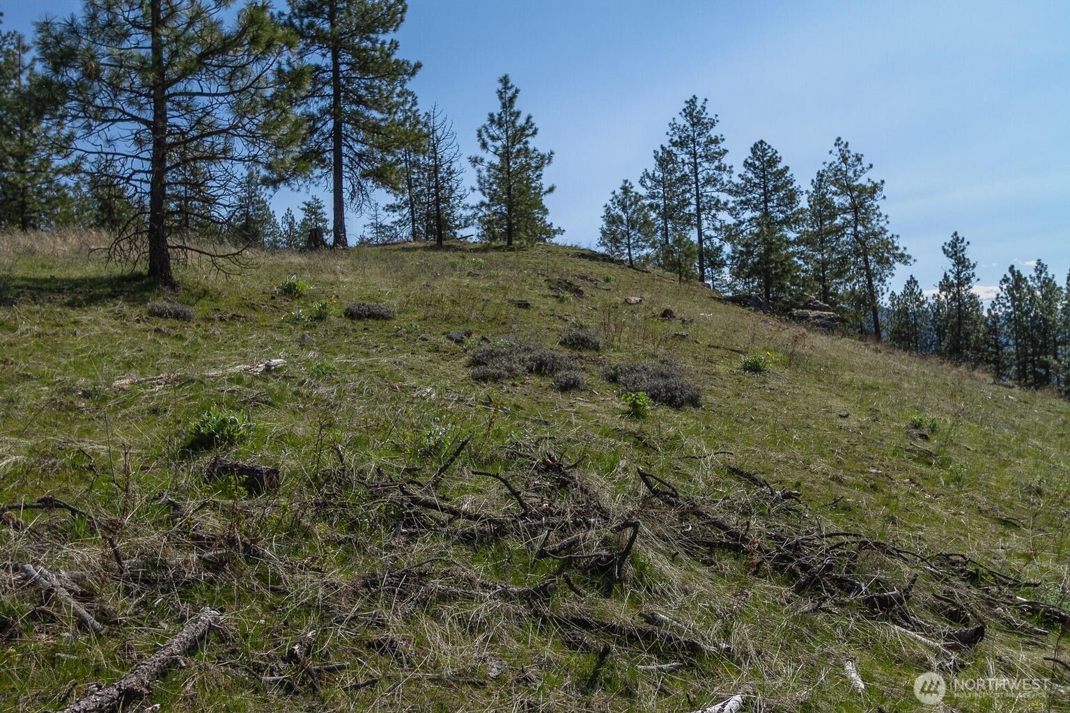 1622 Palmer Loop Chewelah WA 99109