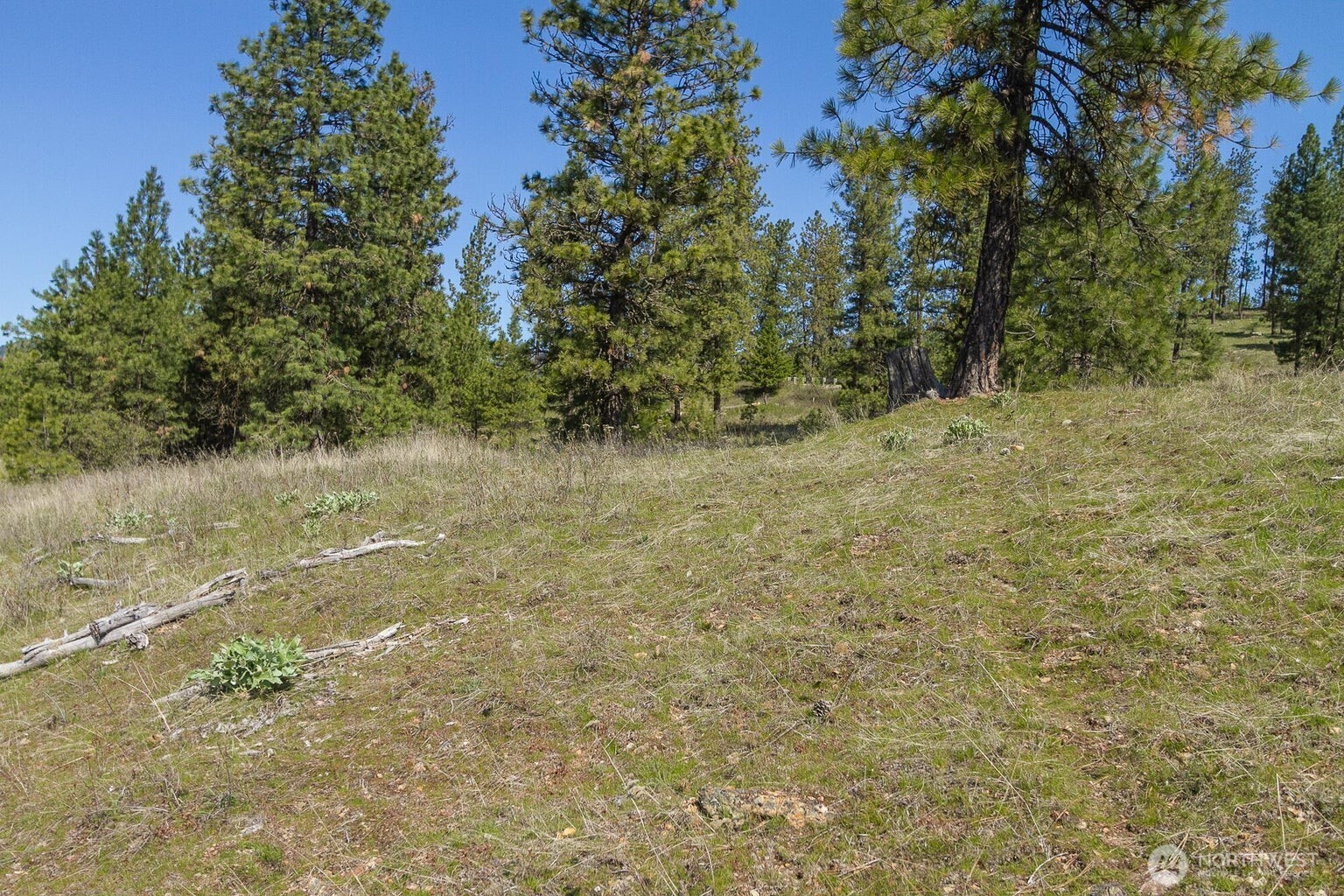 1622 Palmer Loop Chewelah WA 99109