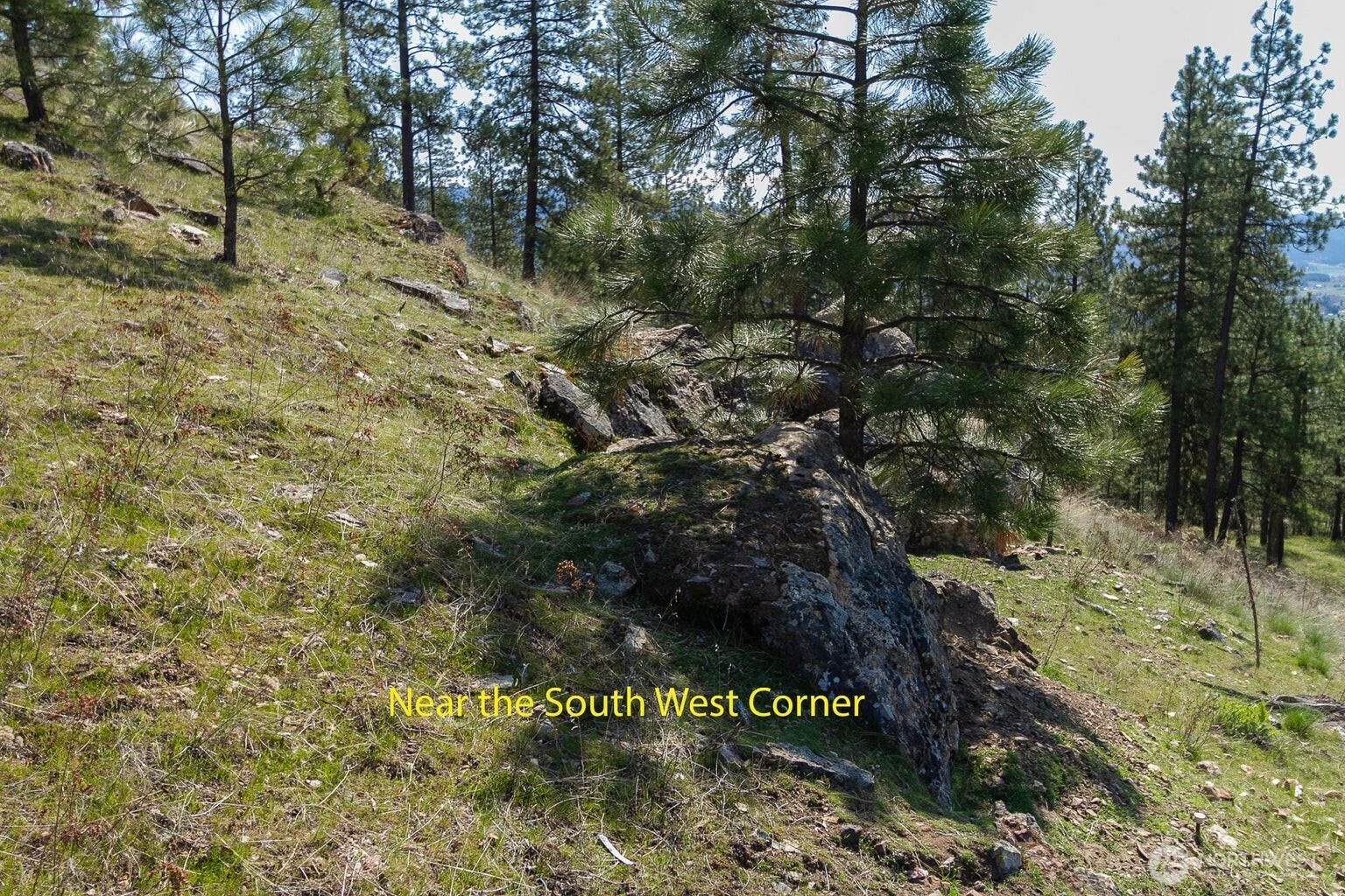 1622 Palmer Loop Chewelah WA 99109
