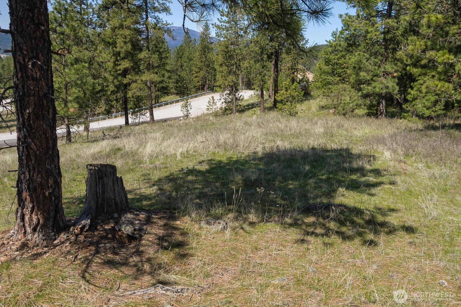 1622 Palmer Loop Chewelah WA 99109