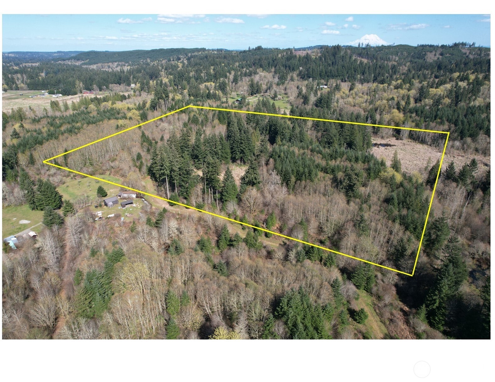 0 40 Acres 143rd Avenue SE Tenino WA 98589