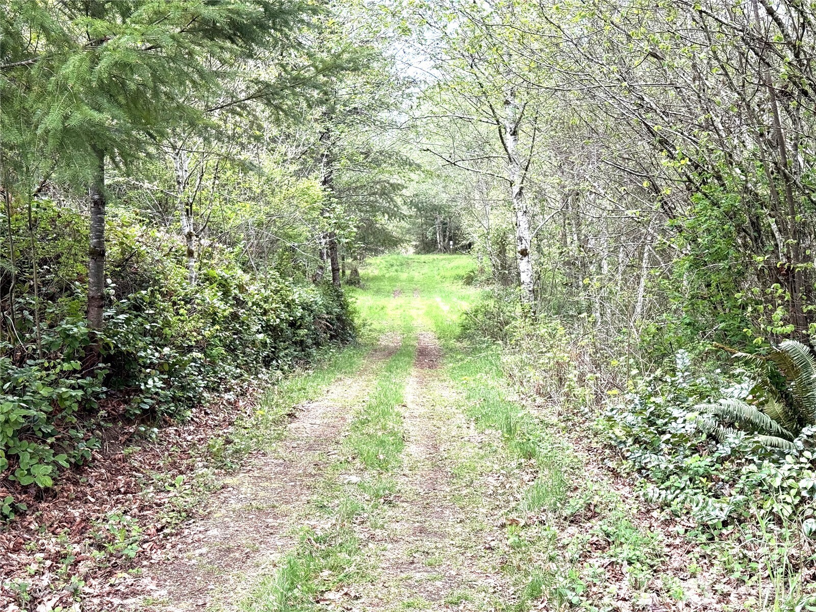 0 40 Acres 143rd Avenue SE Tenino WA 98589