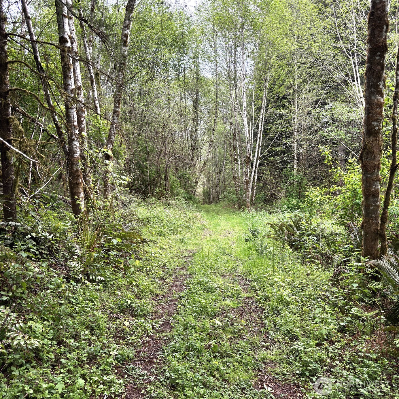 0 40 Acres 143rd Avenue SE Tenino WA 98589