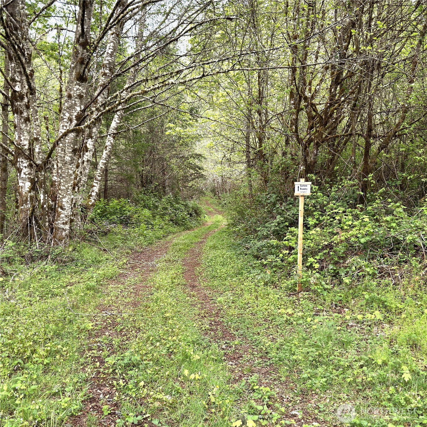 0 40 Acres 143rd Avenue SE Tenino WA 98589
