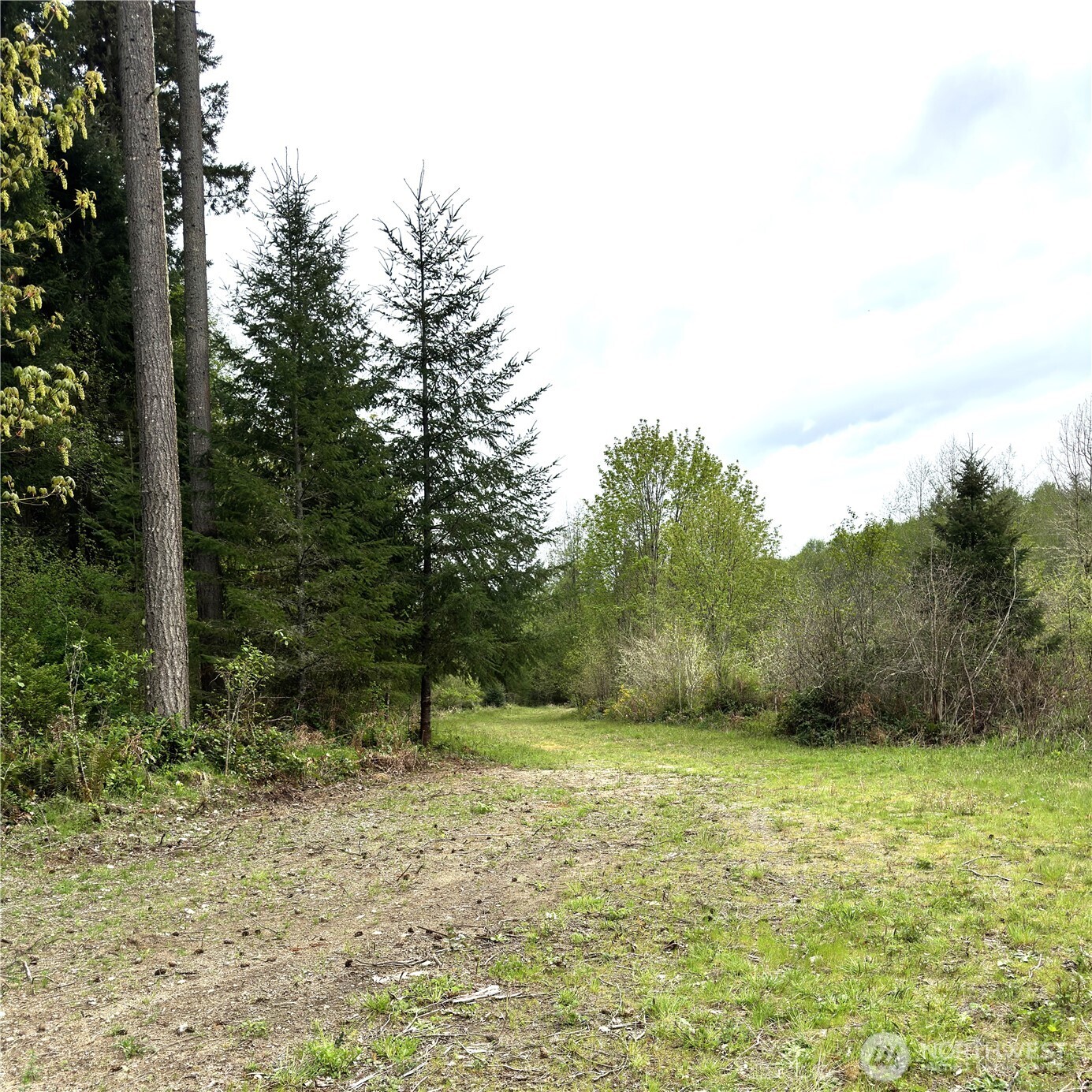 0 40 Acres 143rd Avenue SE Tenino WA 98589