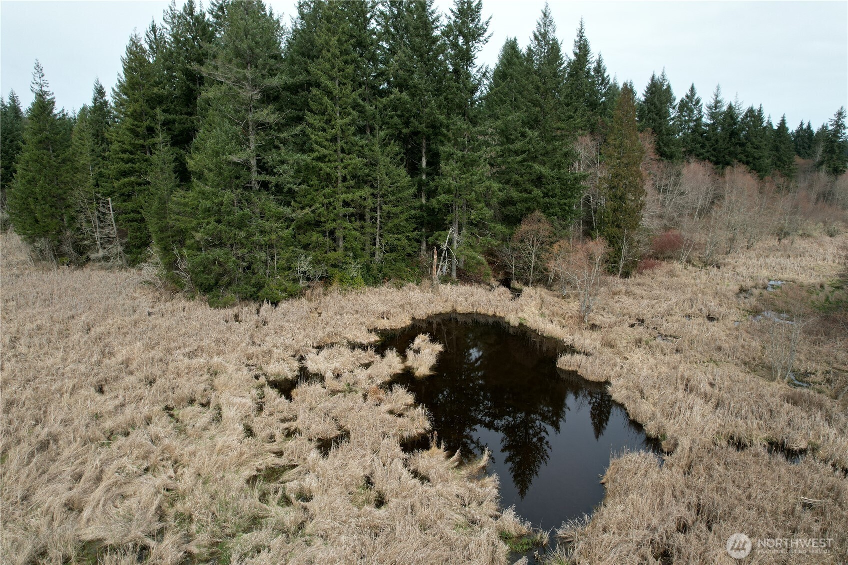 0 40 Acres 143rd Avenue SE Tenino WA 98589