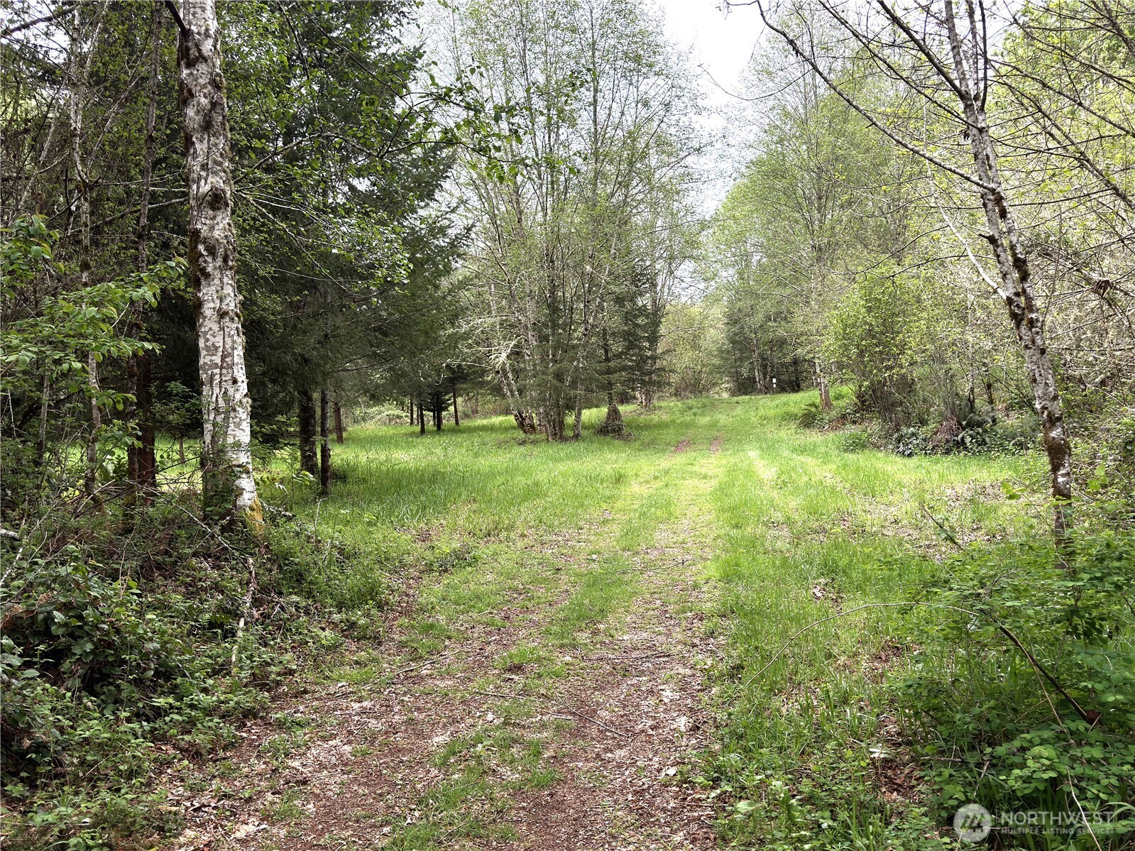0 40 Acres 143rd Avenue SE Tenino WA 98589