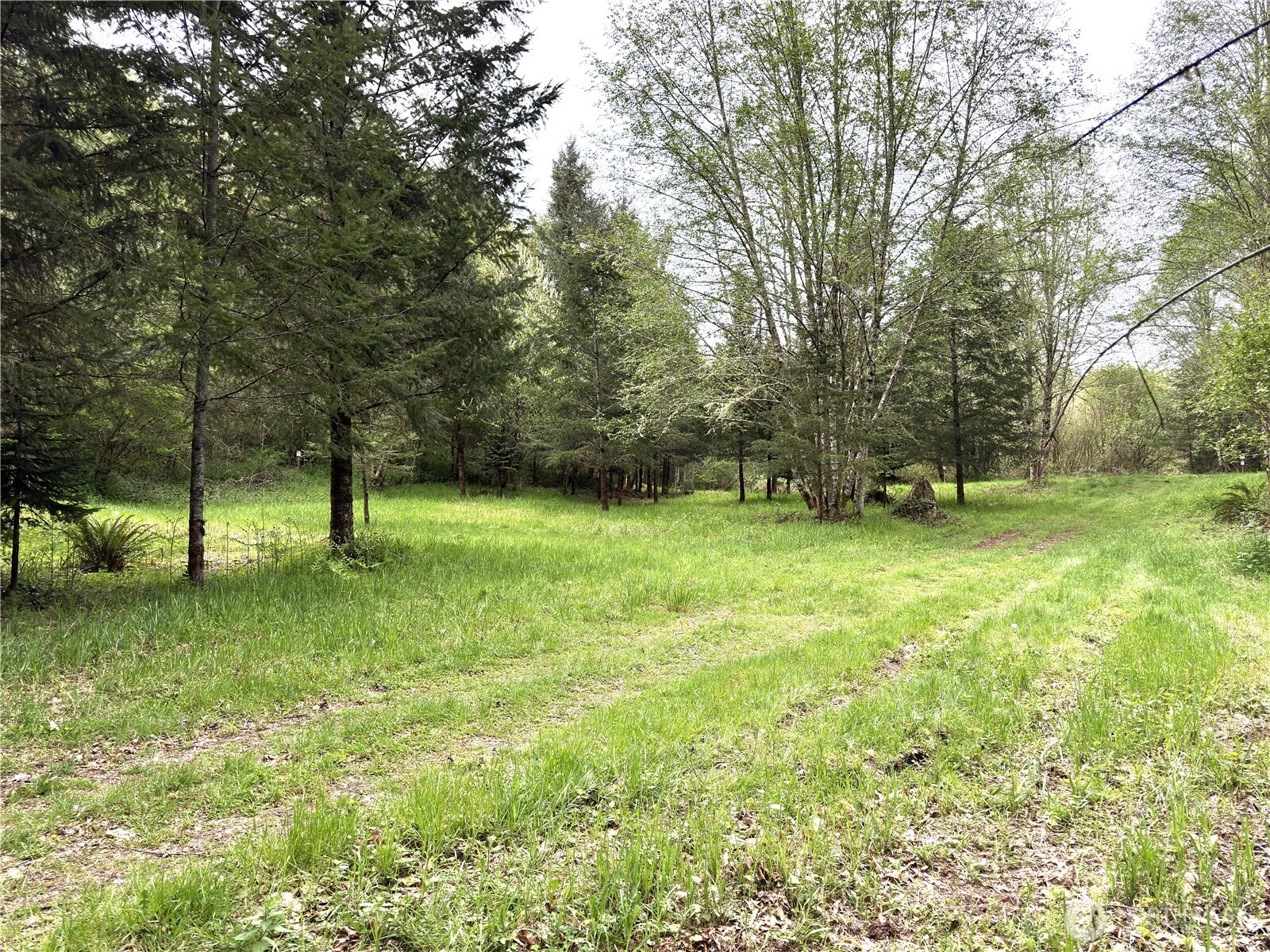 0 40 Acres 143rd Avenue SE Tenino WA 98589