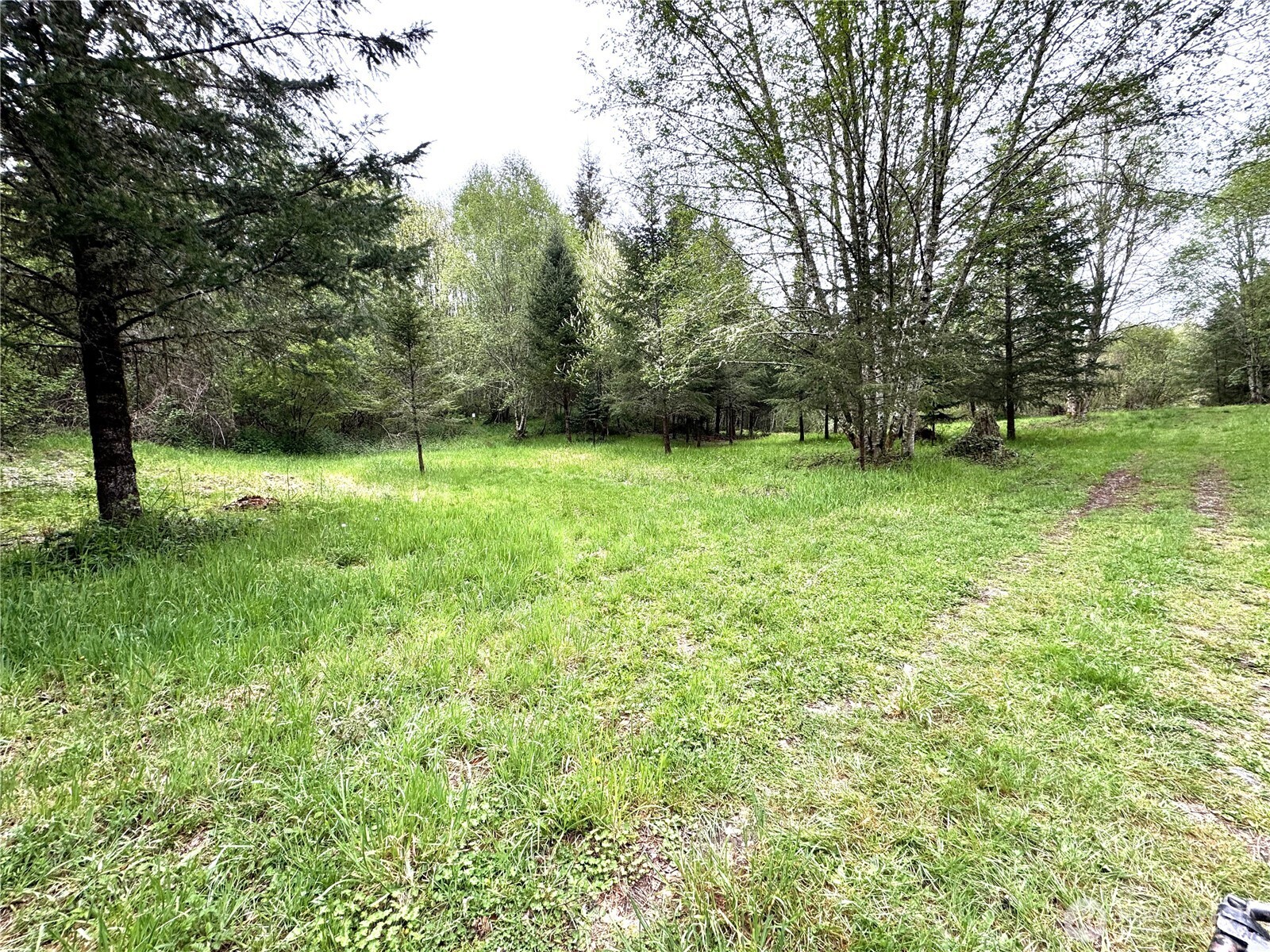 0 40 Acres 143rd Avenue SE Tenino WA 98589