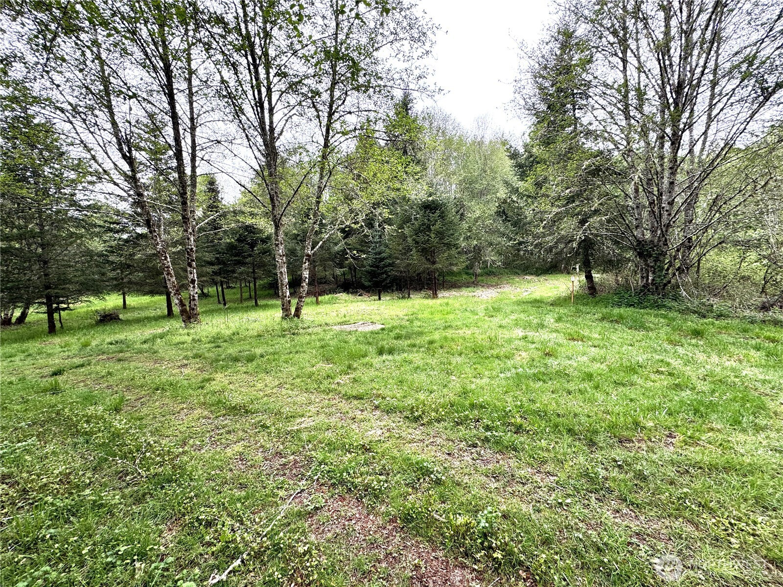 0 40 Acres 143rd Avenue SE Tenino WA 98589
