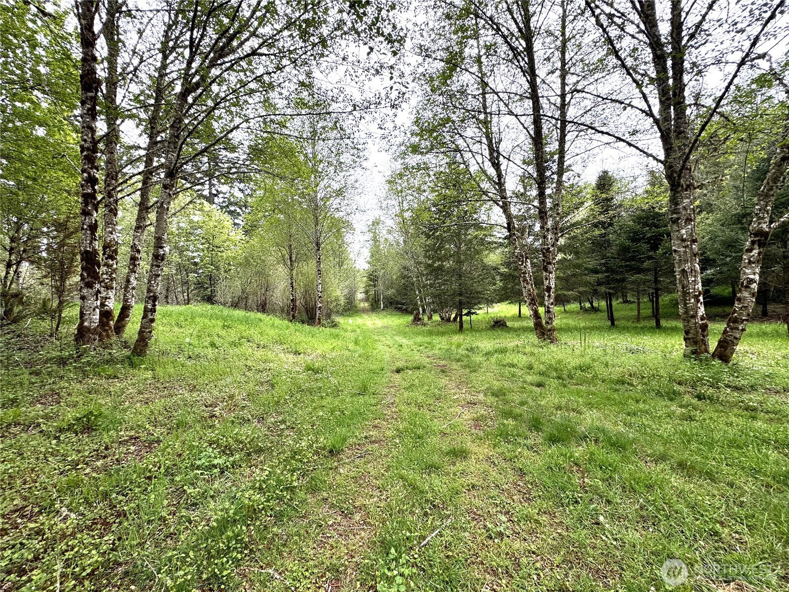 0 40 Acres 143rd Avenue SE Tenino WA 98589