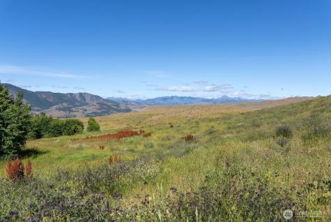 121 Finley Canyon Road Twisp WA 98856