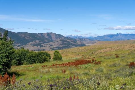 121 Finley Canyon Road Twisp WA 98856