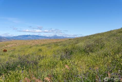 121 Finley Canyon Road Twisp WA 98856