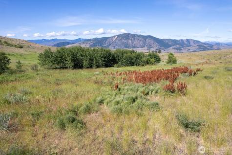 121 Finley Canyon Road Twisp WA 98856