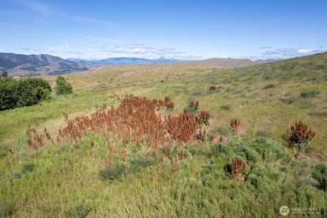 121 Finley Canyon Road Twisp WA 98856