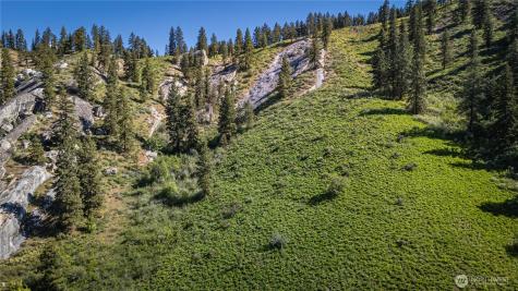 0 Sky Meadows Road Cashmere WA 98815