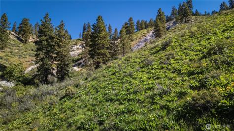 0 Sky Meadows Road Cashmere WA 98815