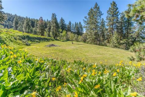 0 Sky Meadows Road Cashmere WA 98815