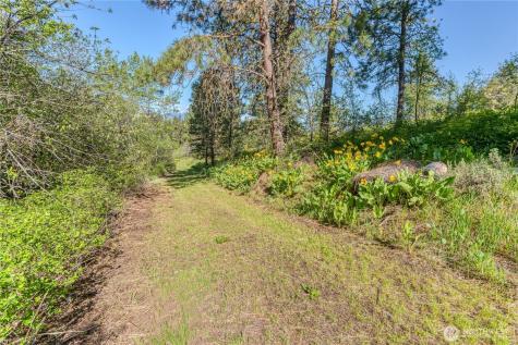 0 Sky Meadows Road Cashmere WA 98815