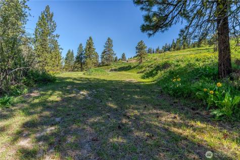 0 Sky Meadows Road Cashmere WA 98815