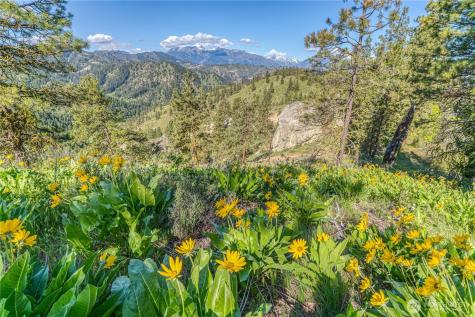 0 Sky Meadows Road Cashmere WA 98815