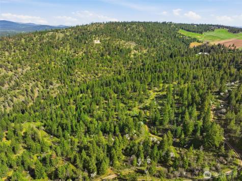 0 N Abigail Lane Nine Mile Falls WA 99208