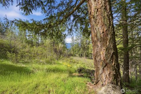 0 N Abigail Lane Nine Mile Falls WA 99208