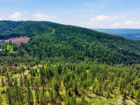0 N Abigail Lane Nine Mile Falls WA 99208
