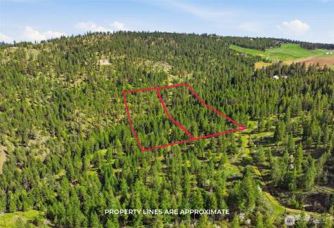 0 N Abigail Lane Nine Mile Falls WA 99208