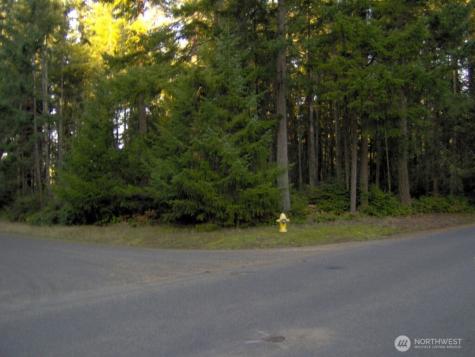 10211 Tahoma Drive Anderson Island WA 98303