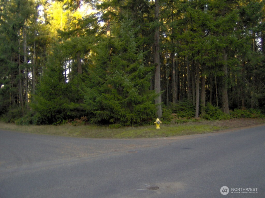 10211 Tahoma Drive Anderson Island WA 98303