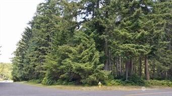 10211 Tahoma Drive Anderson Island WA 98303