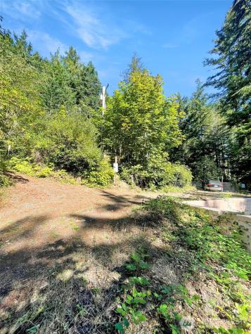 111 N Colony Surf Drive Lilliwaup WA 98555