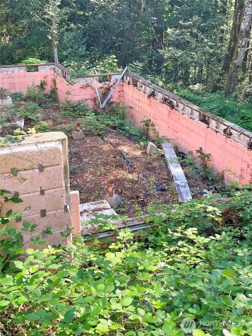 111 N Colony Surf Drive Lilliwaup WA 98555