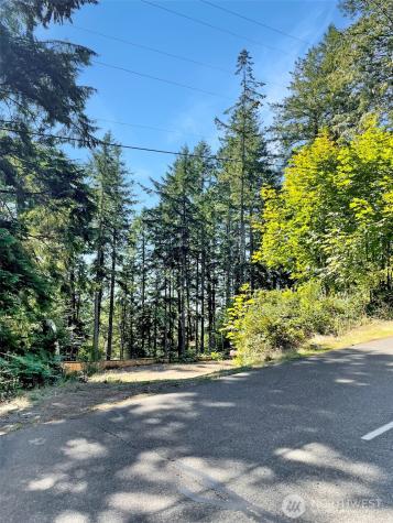 111 N Colony Surf Drive Lilliwaup WA 98555